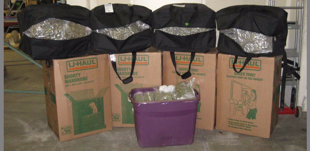 515 pounds of marijuana